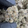 purple urkle weed strain, purple urkle seeds, purple urkle where to buy online, purple urkle strain effects, urkle strain, purple urkle near me, purple urkle indica or sativa