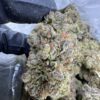 Blue Zkittles Strain, blue skittles, blue zkittlez strain, zkittles strain, zkittles strain v