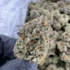 Lemon Cherry Runtz AAA DEP, lemon cherry runtz strain​, cherry runtz​, lemon cherry runtz​, black cherry runtz strain​