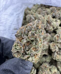 Lemon Cherry Runtz AAA DEP, lemon cherry runtz strain​, cherry runtz​, lemon cherry runtz​, black cherry runtz strain​