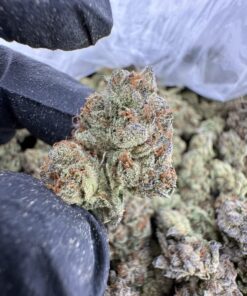Gelato 41 Strain, gelato 41, g41 strain, gelato 41 weed strain, gelato 41 price