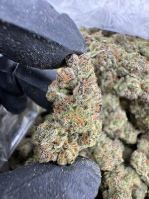 Lemon Cherry Runtz AAA DEP, lemon cherry runtz strain​, cherry runtz​, lemon cherry runtz​, black cherry runtz strain​