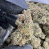 Lemon Cherry Runtz AAA DEP, lemon cherry runtz strain​, cherry runtz​, lemon cherry runtz​, black cherry runtz strain​