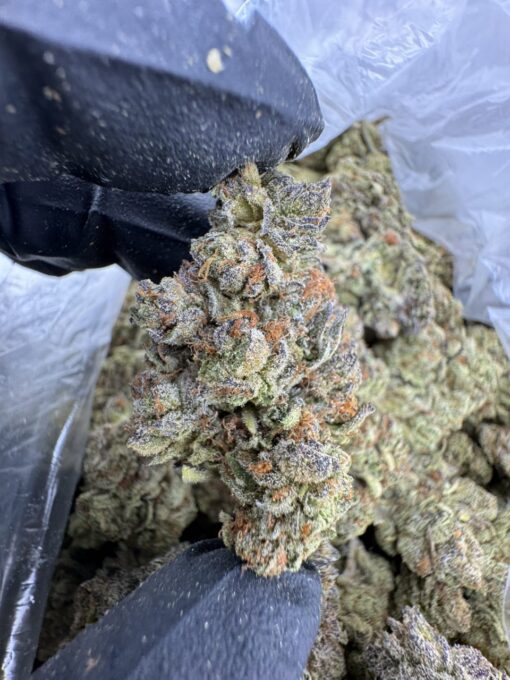 Blue Zkittles Strain, blue skittles, blue zkittlez strain, zkittles strain, zkittles strain