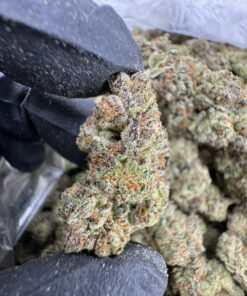 Lemon Cherry Runtz AAA DEP, lemon cherry runtz strain​, cherry runtz​, lemon cherry runtz​, black cherry runtz strain​