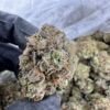 cherry runtz strain​, lemon cherry runtz strain​, black cherry runtz strain​,white cherry runtz strain​, cherry runtz weed strain​