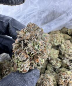cherry runtz strain​, lemon cherry runtz strain​, black cherry runtz strain​,white cherry runtz strain​, cherry runtz weed strain​