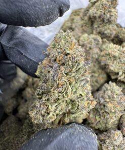 Triple Scoop Strain, scoops strain​, triple scoops strain, cookies triple scoop strain​, dos scoops strain​, triple scoop cookies strain​