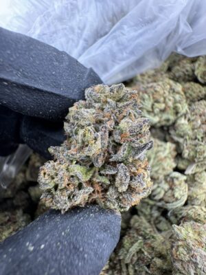 cherry runtz strain​, lemon cherry runtz strain​, black cherry runtz strain​,white cherry runtz strain​, cherry runtz weed strain​