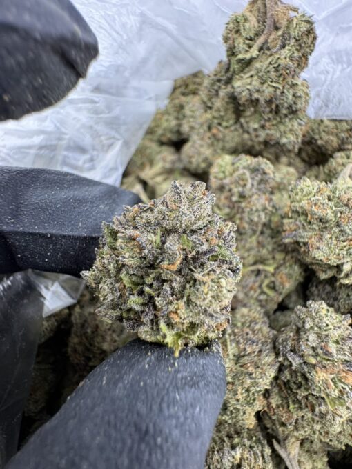 Triple Scoop Strain, scoops strain​, triple scoops strain, cookies triple scoop strain​, dos scoops strain​, triple scoop cookies strain​