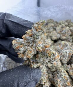 oreo mintz strain​, oreo strain​, oreo cookies strain​, oreos strain​, oreo cookie strain​, oreo weed strain​