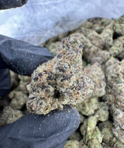 Cherry Sprite Strain, sprite weed strain, pink sprite strain, Sprite Strain, Lemon Cherry Gelato Strain, Black Cherry Sprite