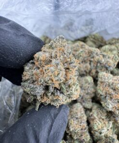 Professor Chaos Strain, professor chaos weed strain, professor x strain, professor chaos hybrid flower, professor chaos strain indica or sativa, professor chaos strain review