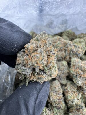 Professor Chaos Strain, professor chaos weed strain, professor x strain, professor chaos hybrid flower, professor chaos strain indica or sativa, professor chaos strain review