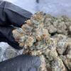 oreo mintz strain​, oreo strain​, oreo cookies strain​, oreos strain​, oreo cookie strain​, oreo weed strain​