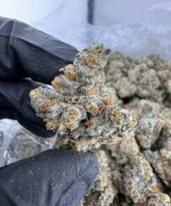 oreo mintz strain​, oreo strain​, oreo cookies strain​, oreos strain​, oreo cookie strain​, oreo weed strain​