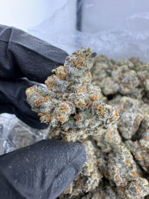 oreo mintz strain​, oreo strain​, oreo cookies strain​, oreos strain​, oreo cookie strain​, oreo weed strain​