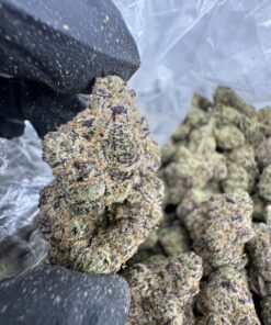 Cherry Sprite Strain, sprite weed strain, pink sprite strain, Sprite Strain, Lemon Cherry Gelato Strain, Black Cherry Sprite