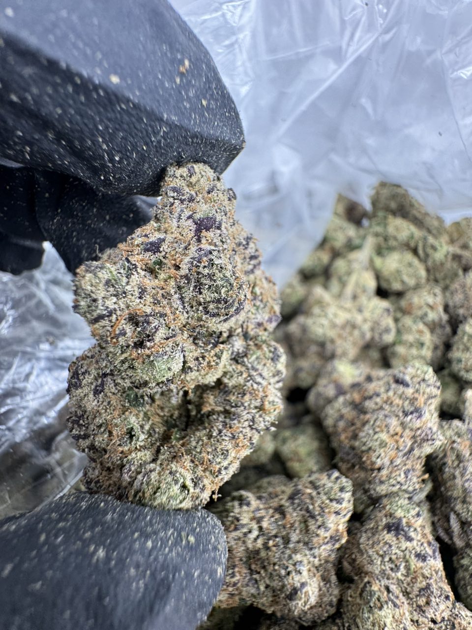 Cherry Sprite Strain, sprite weed strain, pink sprite strain, Sprite Strain, Lemon Cherry Gelato Strain, Black Cherry Sprite