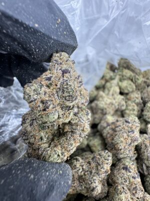 Cherry Sprite Strain, sprite weed strain, pink sprite strain, Sprite Strain, Lemon Cherry Gelato Strain, Black Cherry Sprite