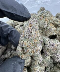 Frosted Cherries Strain, Cherry Cookies Strain, Frosted Cherry Cookies Strain, Frosted Cherry Strain, Frosted Cherries Strain Indica or Sativa ,frosted cherries strain review, frosted cherries strain thc level, frosted cherries strain effects