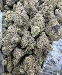 Cherry Sprite Strain, sprite weed strain, pink sprite strain, Sprite Strain, Lemon Cherry Gelato Strain, Black Cherry Sprite