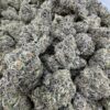 Gold Cash Gold Strain​, gold cash strain​, gold cash gold strain indica or sativa​, cash gold cash strain​, gold cash weed strain​