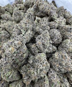 Gold Cash Gold Strain​, gold cash strain​, gold cash gold strain indica or sativa​, cash gold cash strain​, gold cash weed strain​