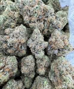 Professor Chaos Strain, professor chaos weed strain, professor x strain, professor chaos hybrid flower, professor chaos strain indica or sativa, professor chaos strain review