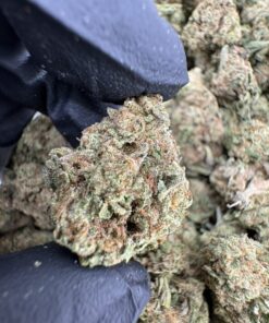 melonade strain, melonade weed strain, melonade strain indica or sativa, melonade, melonade strain effects