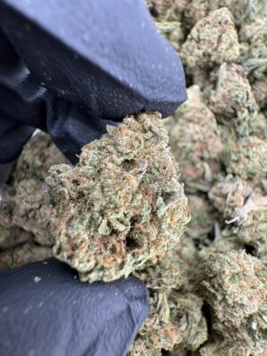 melonade strain, melonade weed strain, melonade strain indica or sativa, melonade, melonade strain effects