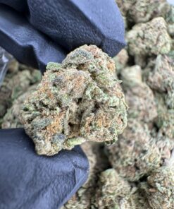 melonade strain, melonade weed strain, melonade strain indica or sativa, melonade, melonade strain effects