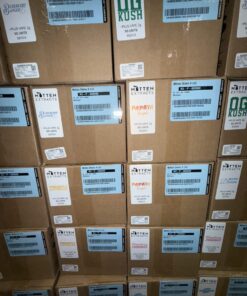 mitten extracts disposable, mitten extracts, mitten extracts plus, mittens extracts, mitten extracts 2g disposable , mitten extracts plus 2g