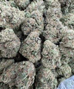 melonade strain, melonade weed strain, melonade strain indica or sativa, melonade, melonade strain effects